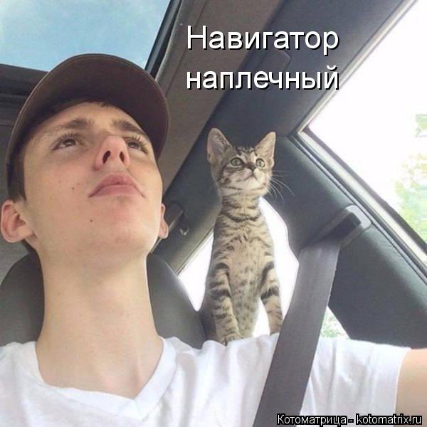 Навигатор наплечный... Котоматрица: Навигатор наплечный