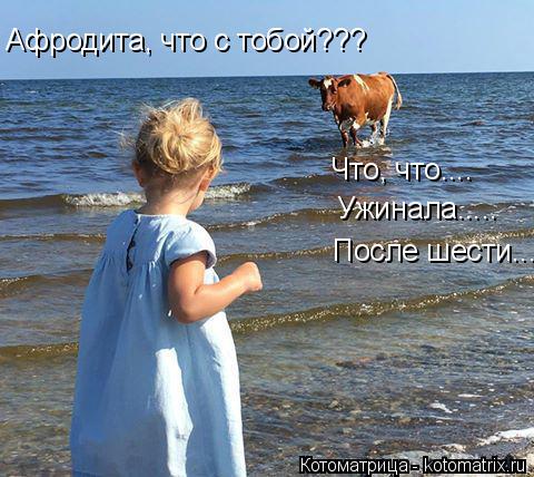 Афродита, что с тобой??? Что, что.... Ужинала..... После шести....... Котоматрица: Афродита, что с тобой??? Что, что.... Ужинала..... После шести....