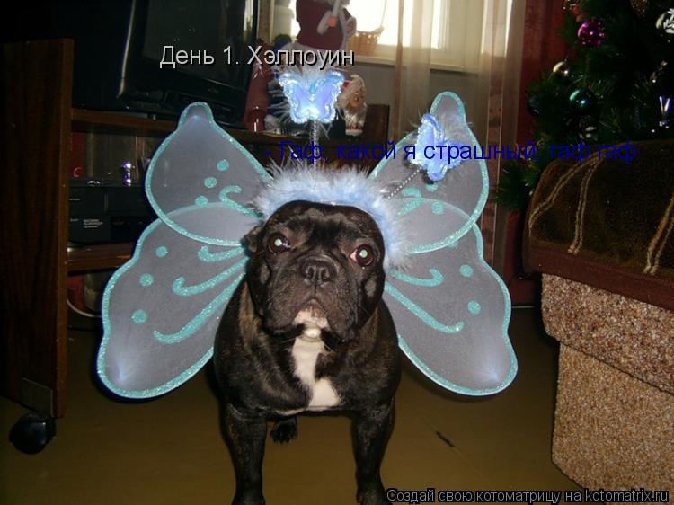 День 1. Хэллоуин - Гаф, какой я страшный, гаф гаф... Котоматрица: День 1. Хэллоуин - Гаф, какой я страшный, гаф гаф