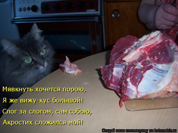 Акростих сложился мой! Слог за слогом, сам собою, Мявкнуть хочется порою, Я же вижу-кус большой!... Котоматрица: Акростих сложился мой! Слог за слогом, сам собою, Мявкнуть хочется порою, Я же вижу-кус большой!