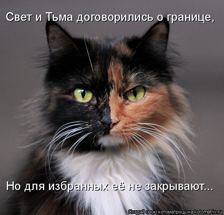 Но для избранных её не закрывают... Свет и Тьма договорились о границе,... Котоматрица: Но для избранных её не закрывают... Свет и Тьма договорились о границе,