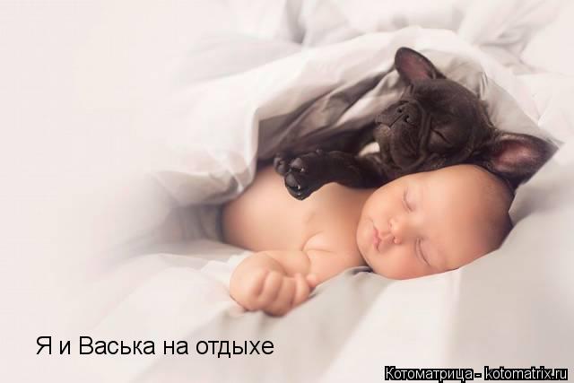 Я и Васька на отдыхе... Котоматрица: Я и Васька на отдыхе