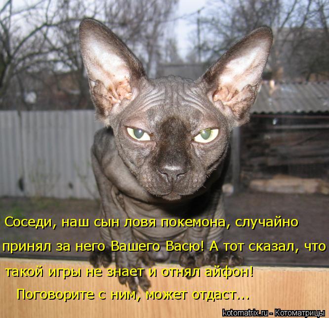 Соседи, наш сын ловя покемона, случайно принял за него Вашего Васю! А тот сказал, что такой игры не... Котоматрица: Соседи, наш сын ловя покемона, случайно принял за него Вашего Васю! А тот сказал, что такой игры не знает и отнял айфон! Поговорите с ним, мо