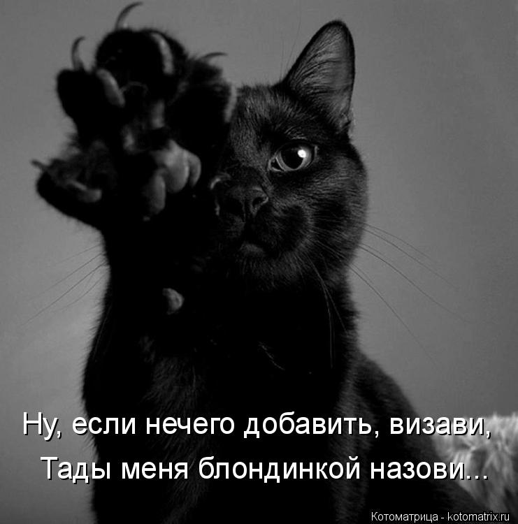 Ну, если нечего добавить, визави, Тады меня блондинкой назови...... Котоматрица: Ну, если нечего добавить, визави, Тады меня блондинкой назови...