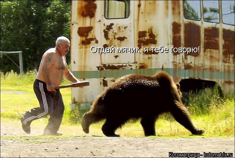 Отдай мячик, я тебе говорю!... Котоматрица: Отдай мячик, я тебе говорю!