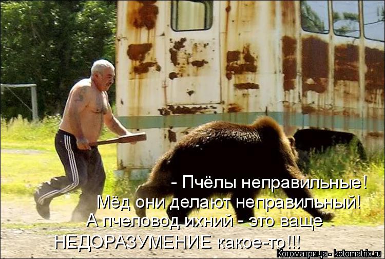 - Пчёлы неправильные! Мёд они делают неправильный! А пчеловод ихний - это ваще НЕДОРАЗУМЕНИЕ какое-... Котоматрица: - Пчёлы неправильные! Мёд они делают неправильный! А пчеловод ихний - это ваще НЕДОРАЗУМЕНИЕ какое-то!!!