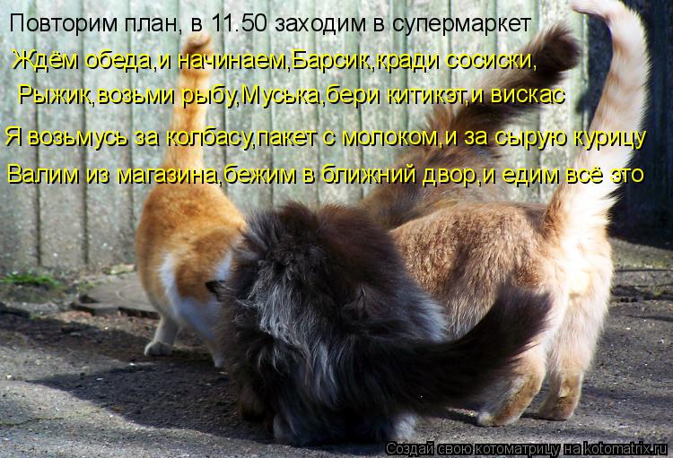 Повторим план, в 11.50 заходим в супермаркет Ждём обеда,и начинаем,Барсик,кради сосиски, Рыжик,возьми... Котоматрица: Повторим план, в 11.50 заходим в супермаркет Ждём обеда,и начинаем,Барсик,кради сосиски, Рыжик,возьми рыбу,Муська,бери китикэт,и вискас Я возь
