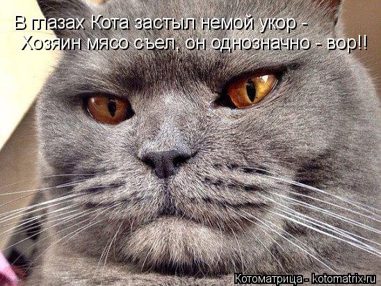 В глазах Кота застыл немой укор - Хозяин мясо съел, он однозначно - вор!!... Котоматрица: В глазах Кота застыл немой укор - Хозяин мясо съел, он однозначно - вор!!