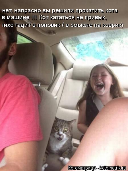 нет, напрасно вы решили прокатить кота в машине !!! Кот кататься не привык, тихо гадит в половик ( в ... Котоматрица: нет, напрасно вы решили прокатить кота в машине !!! Кот кататься не привык, тихо гадит в половик ( в смысле на коврик)