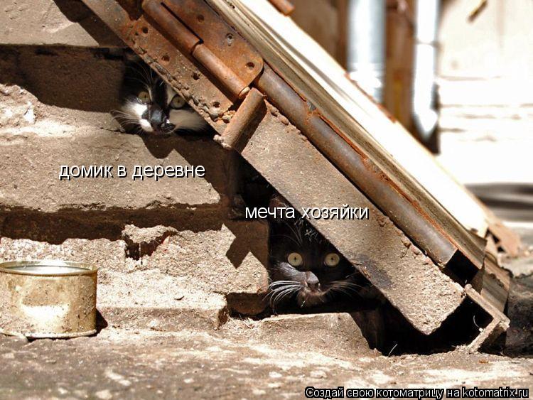 домик в деревне мечта хозяйки... Котоматрица: домик в деревне мечта хозяйки