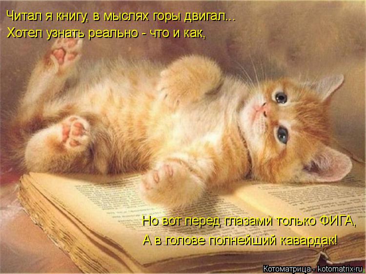 Читал я книгу, в мыслях горы двигал... Хотел узнать реально - что и как, Но вот перед глазами только ... Котоматрица: Читал я книгу, в мыслях горы двигал... Хотел узнать реально - что и как, Но вот перед глазами только ФИГА, А в голове полнейший кавардак!