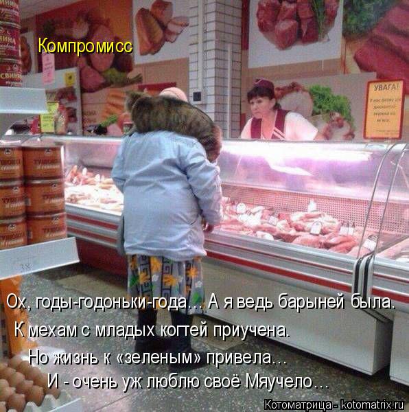 К мехам с младых когтей приучена. Но жизнь к «зеленым» привела… И - очень уж люблю своё Мяучело… Комп... Котоматрица: К мехам с младых когтей приучена. Но жизнь к «зеленым» привела… И - очень уж люблю своё Мяучело… Компромисс Ох, годы-годоньки-года… А я ведь