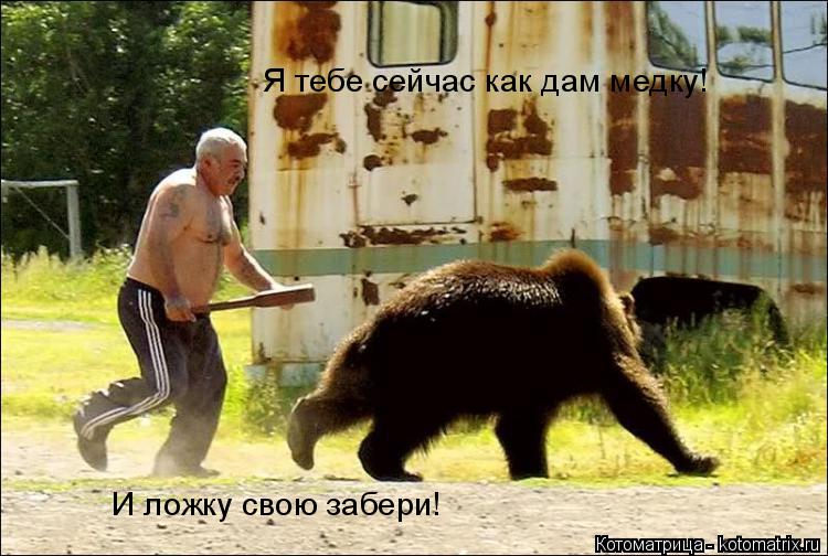 Я тебе сейчас как дам медку! И ложку свою забери!... Котоматрица: Я тебе сейчас как дам медку! И ложку свою забери!