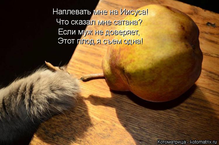Наплевать мне на Иисуса! Что сказал мне сатана? Если муж не доверяет, Этот плод я съем одна!... Котоматрица: Наплевать мне на Иисуса! Что сказал мне сатана? Если муж не доверяет, Этот плод я съем одна!