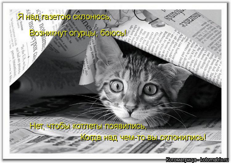 Я над газетою склонюсь, Возникнут огурцы, боюсь! Нет, чтобы котлеты появились, Когда над чем-то вы ск... Котоматрица: Я над газетою склонюсь, Возникнут огурцы, боюсь! Нет, чтобы котлеты появились, Когда над чем-то вы склонились!