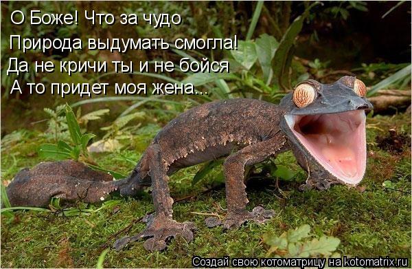 О Боже! Что за чудо Да не кричи ты и не бойся Природа выдумать смогла! А то придет моя жена...... Котоматрица: О Боже! Что за чудо Да не кричи ты и не бойся Природа выдумать смогла! А то придет моя жена...