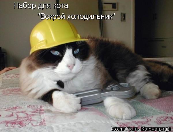 Набор для кота "Вскрой холодильник"... Котоматрица: Набор для кота "Вскрой холодильник"