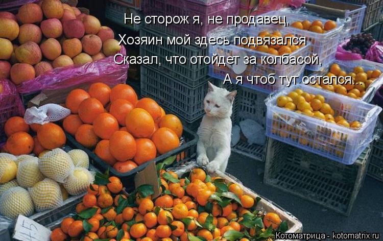 Не сторож я, не продавец, Хозяин мой здесь подвязался Сказал, что отойдет за колбасой, А я чтоб тут о... Котоматрица: Не сторож я, не продавец, Хозяин мой здесь подвязался Сказал, что отойдет за колбасой, А я чтоб тут остался...
