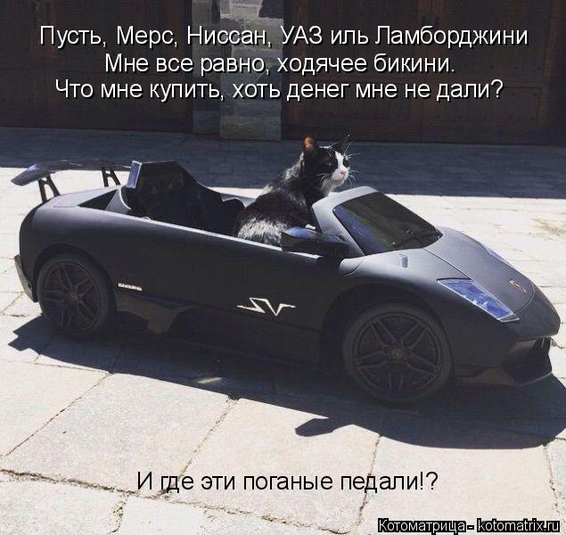 Мне все равно, ходячее бикини. Что мне купить, хоть денег мне не дали? И где эти поганые педали!? Пус... Котоматрица: Мне все равно, ходячее бикини. Что мне купить, хоть денег мне не дали? И где эти поганые педали!? Пусть, Мерс, Ниссан, УАЗ иль Ламборджини