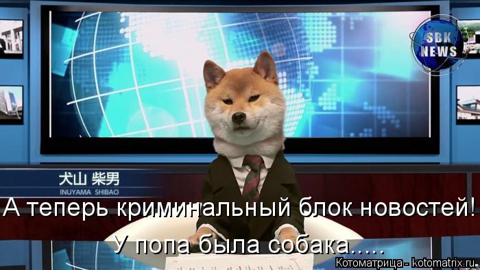 А теперь криминальный блок новостей! У попа была собака........ Котоматрица: А теперь криминальный блок новостей! У попа была собака.....