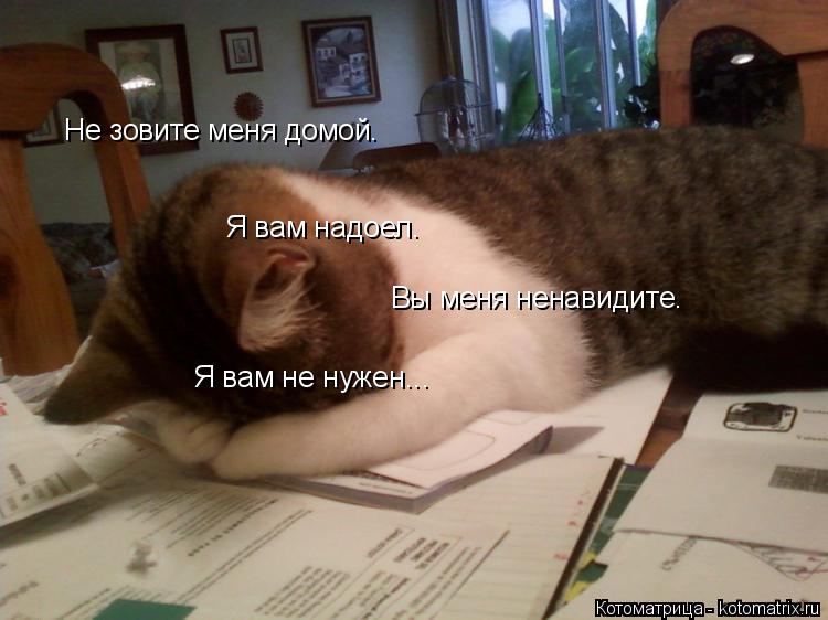 Не зовите меня домой. Я вам надоел. Вы меня ненавидите. Я вам не нужен...... Котоматрица: Не зовите меня домой. Я вам надоел. Вы меня ненавидите. Я вам не нужен...