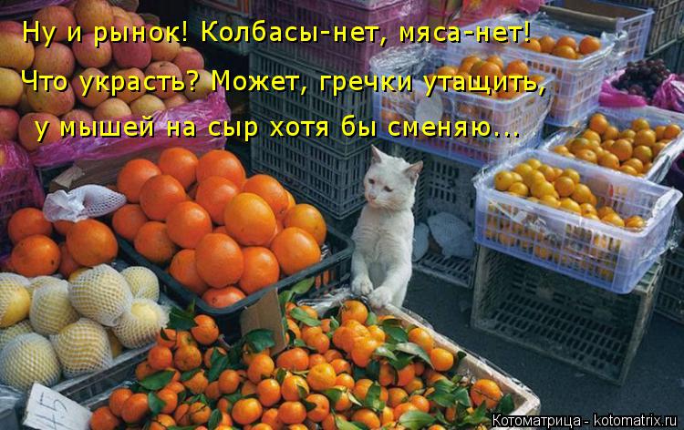 Что украсть? Может, гречки утащить, у мышей на сыр хотя бы сменяю... Ну и рынок! Колбасы-нет, мяса-н... Котоматрица: Что украсть? Может, гречки утащить, у мышей на сыр хотя бы сменяю... Ну и рынок! Колбасы-нет, мяса-нет!