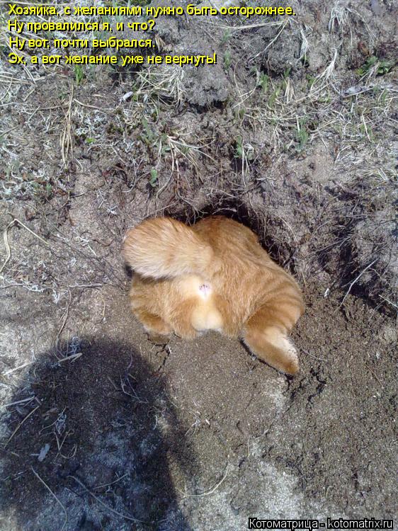 Хозяйка, с желаниями нужно быть осторожнее. Ну провалился я, и что? Ну вот, почти выбрался. Эх, а вот... Котоматрица: Хозяйка, с желаниями нужно быть осторожнее. Ну провалился я, и что? Ну вот, почти выбрался. Эх, а вот желание уже не вернуть!