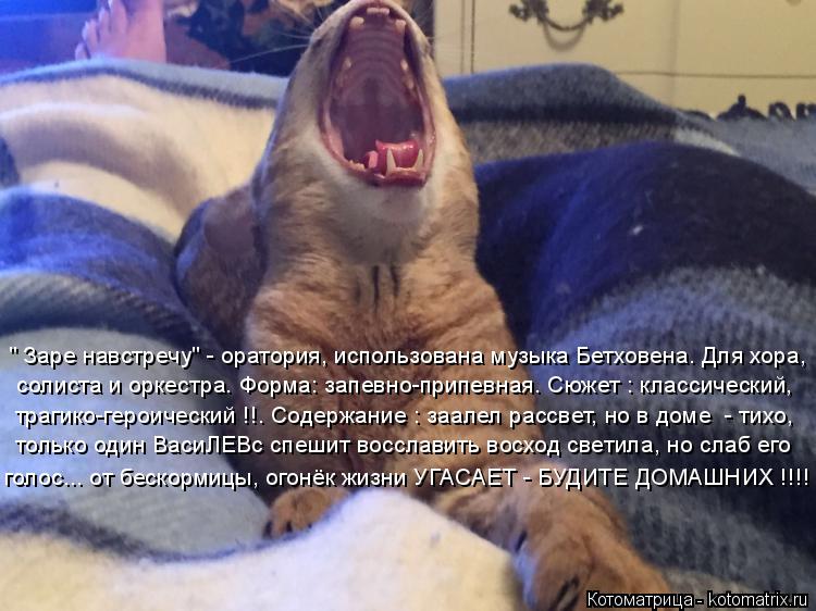 " Заре навстречу" - оратория, использована музыка Бетховена. Для хора, солиста и оркестра. Форма: зап... Котоматрица: " Заре навстречу" - оратория, использована музыка Бетховена. Для хора, солиста и оркестра. Форма: запевно-припевная. Сюжет : классический, тол