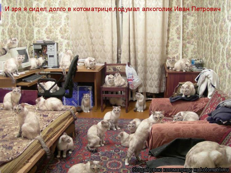 И зря я сидел долго в котоматрице,подумал алкоголик Иван Петрович... Котоматрица: И зря я сидел долго в котоматрице,подумал алкоголик Иван Петрович