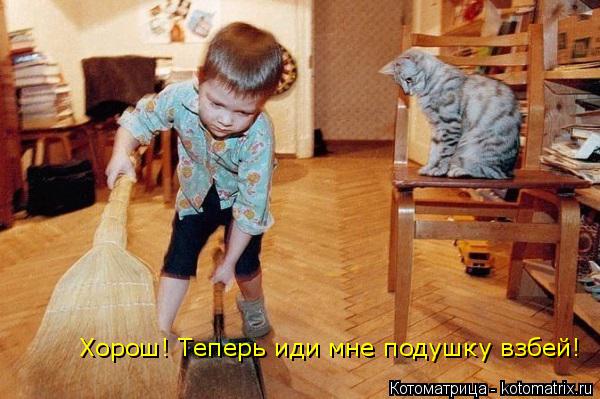 Хорош! Теперь иди мне подушку взбей!... Котоматрица: Хорош! Теперь иди мне подушку взбей!
