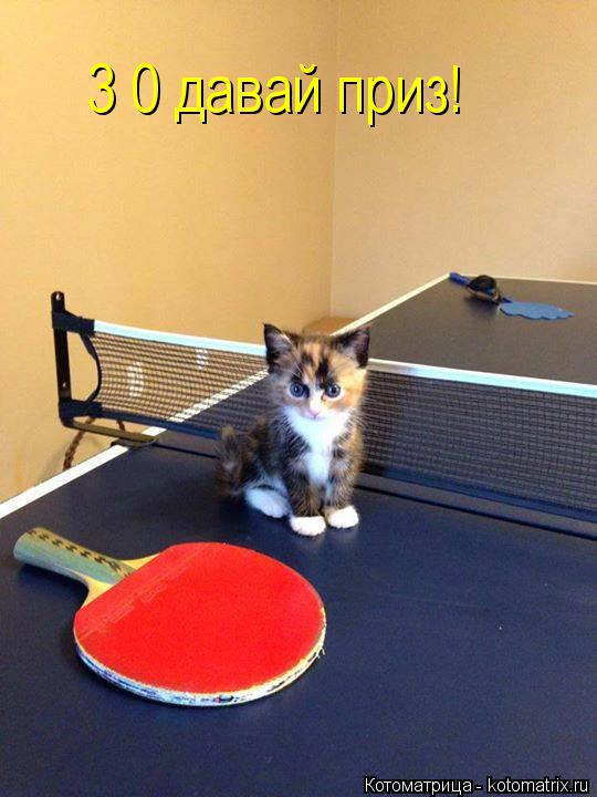 Котоматрица: 3 0 давай приз!