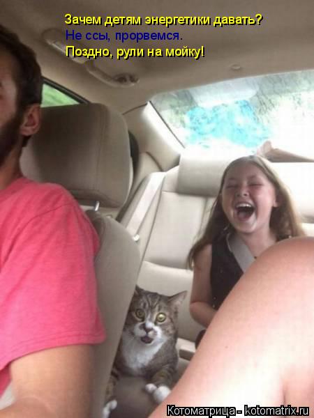 Котоматрица: Зачем детям энергетики давать? Не ссы, прорвемся. Поздно, рули на мойку!