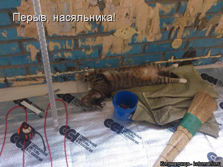 Котоматрица: Перыв, насяльника!