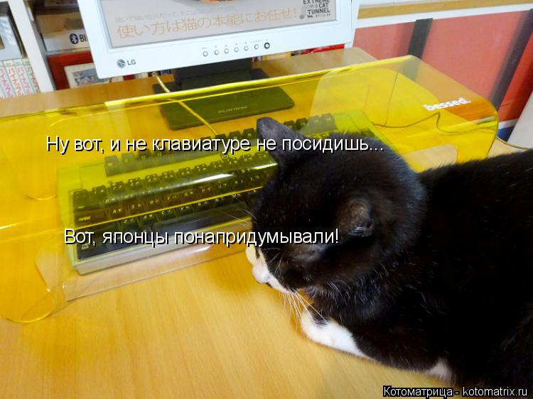 Котоматрица: Ну вот, и не клавиатуре не посидишь... Вот, японцы понапридумывали!