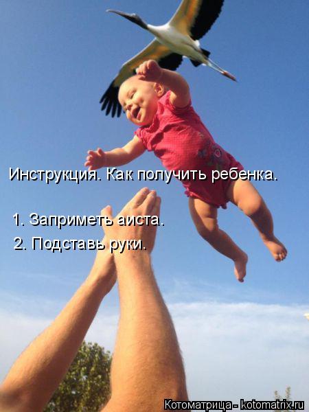 Инструкция. Как получить ребенка. 1. Заприметь аиста. 2. Подставь руки.... Котоматрица: Инструкция. Как получить ребенка. 1. Заприметь аиста. 2. Подставь руки.
