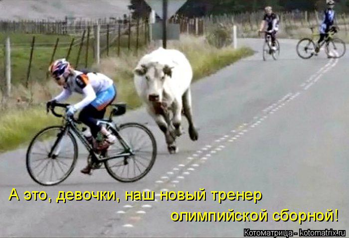Котоматрица: А это, девочки, наш новый тренер  олимпийской сборной!