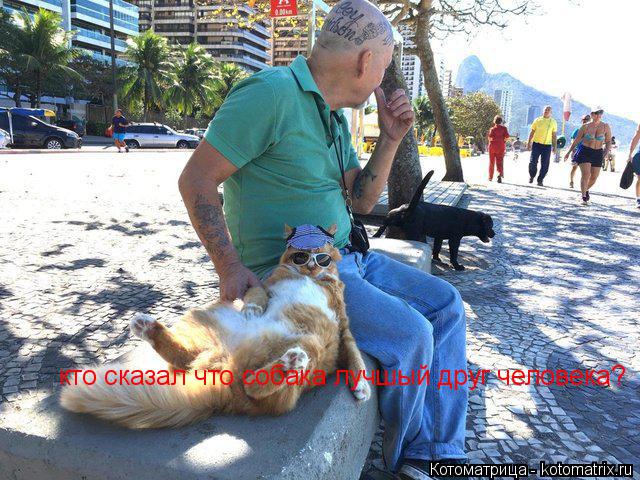 кто сказал что собака лучшый друг человека?... Котоматрица: кто сказал что собака лучшый друг человека?