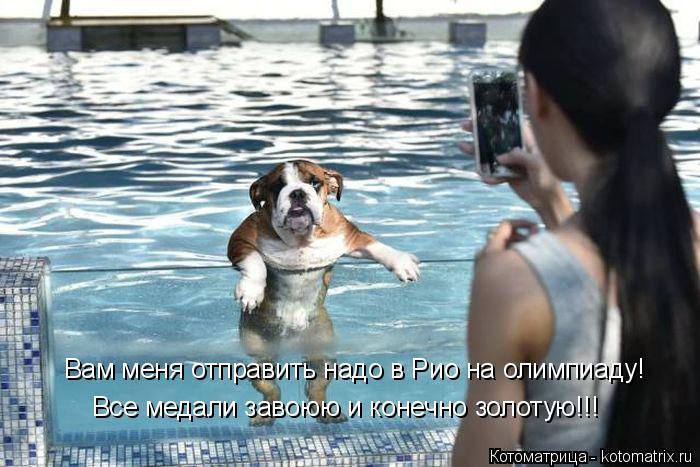 Вам меня отправить надо в Рио на олимпиаду! Все медали завоюю и конечно золотую!!!... Котоматрица: Вам меня отправить надо в Рио на олимпиаду! Все медали завоюю и конечно золотую!!!