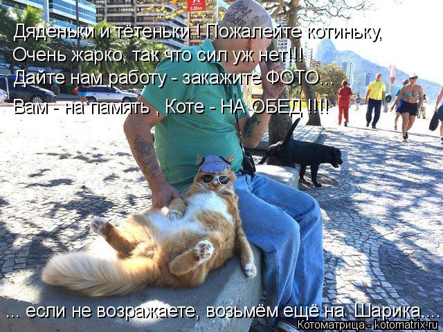 Дяденьки и тётеньки ! Пожалейте котиньку, Очень жарко, так что сил уж нет!!! Дайте нам работу - зака... Котоматрица: Дяденьки и тётеньки ! Пожалейте котиньку, Очень жарко, так что сил уж нет!!! Дайте нам работу - закажите ФОТО... Вам - на память , Коте - НА ОБЕД !!!