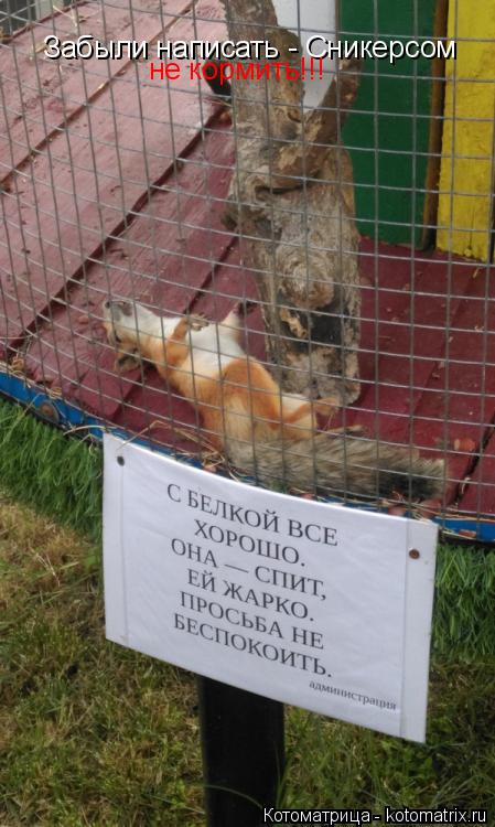 Забыли написать - Сникерсом не кормить!!!... Котоматрица: Забыли написать - Сникерсом не кормить!!!