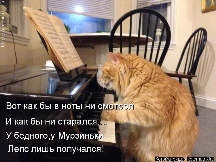 Котоматрица: Вот как бы в ноты ни смотрел И как бы ни старался.... У бедного,у Мурзиньки Лепс лишь получался!