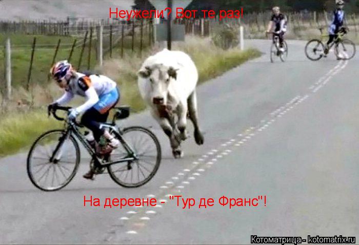 Неужели? Вот те раз! Неужели? Вот те раз! На деревне - "Тур де Франс"! На деревне - "Тур де Франс"!... Котоматрица: Неужели? Вот те раз! Неужели? Вот те раз! На деревне - "Тур де Франс"! На деревне - "Тур де Франс"!