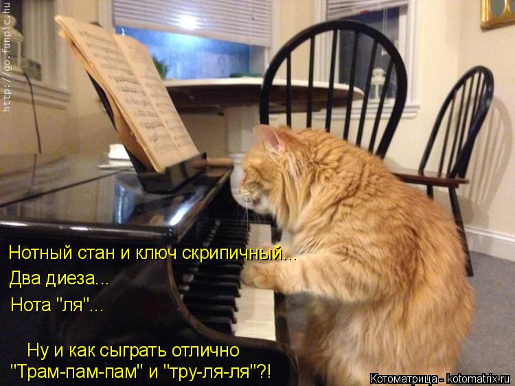 Котоматрица: Нотный стан и ключ скрипичный... Два диеза... Нота "ля"... "Трам-пам-пам" и "тру-ля-ля"?! Ну и как сыграть отлично