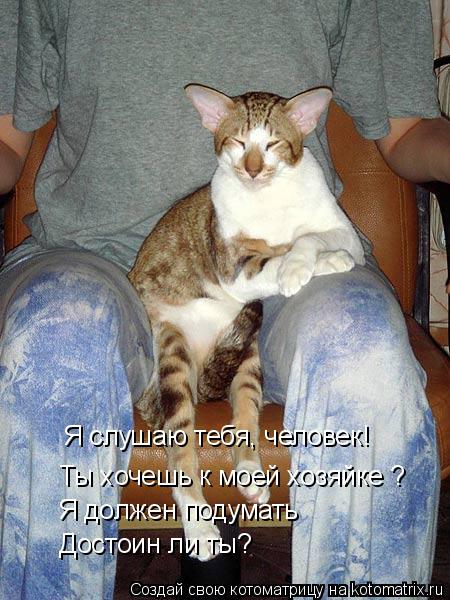 Котоматрица: Достоин ли ты? Я должен подумать Ты хочешь к моей хозяйке ? Я слушаю тебя, человек!
