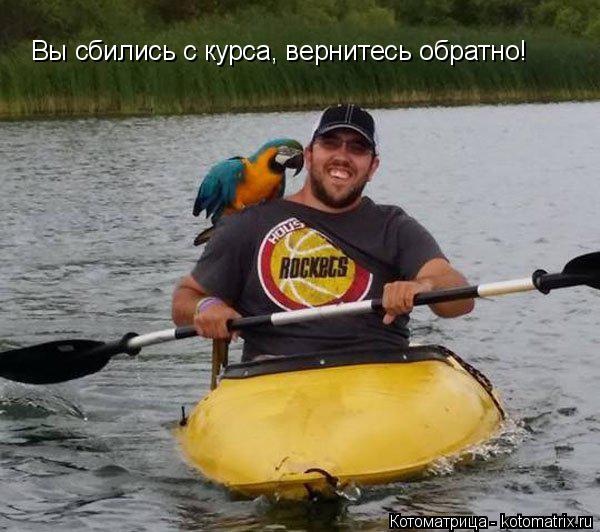 Котоматрица: Вы сбились с курса, вернитесь обратно!