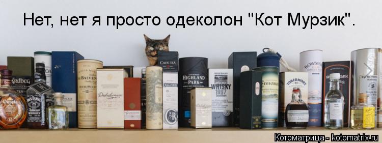 Котоматрица: Нет, нет я просто одеколон "Кот Мурзик".