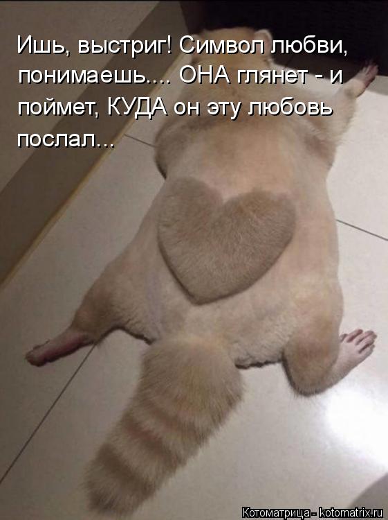 Котоматрица: Ишь, выстриг! Символ любви, понимаешь.... ОНА глянет - и поймет, КУДА он эту любовь послал...