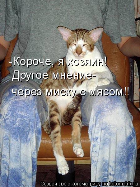 Котоматрица: -Короче, я хозяин! Другое мнение- через миску с мясом!!