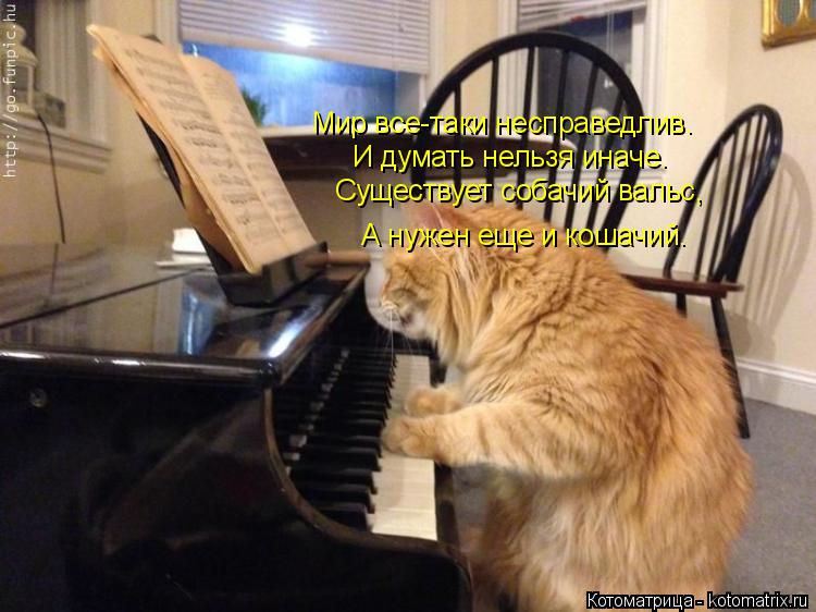 Котоматрица: Мир все-таки несправедлив. И думать нельзя иначе. Существует собачий вальс, А нужен еще и кошачий.
