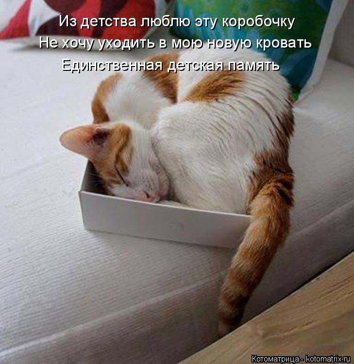 Котоматрица: Из детства люблю эту коробочку Не хочу уходить в мою новую кровать Единственная детская память